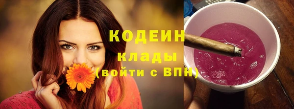 ГАЛЛЮЦИНОГЕННЫЕ ГРИБЫ Алзамай