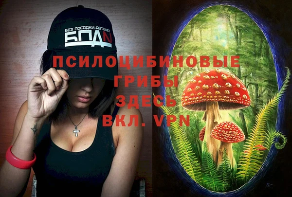 ГАЛЛЮЦИНОГЕННЫЕ ГРИБЫ Алзамай